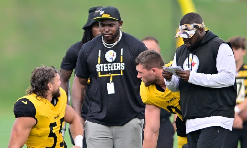 Pittsburgh Steelers Vince Williams Denzel Martin