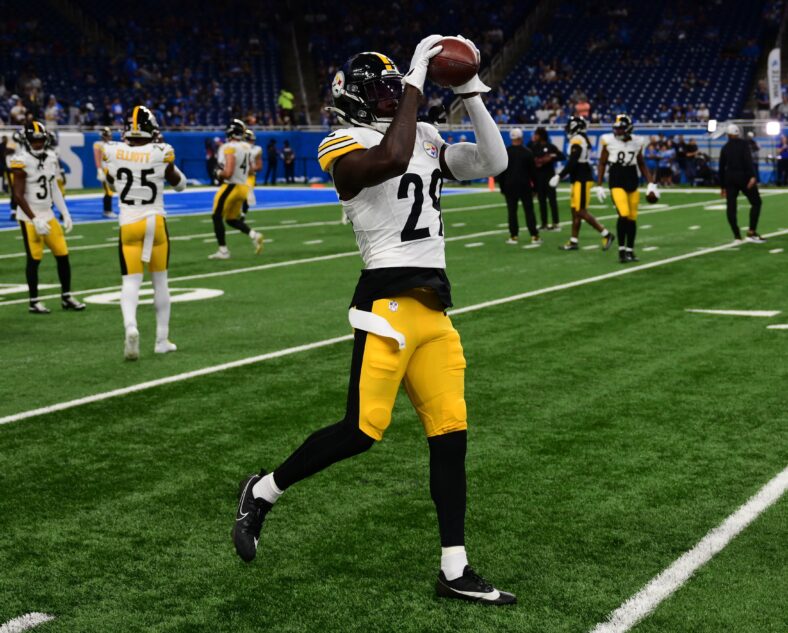 Pittsburgh Steeler Safety Ryan Watts